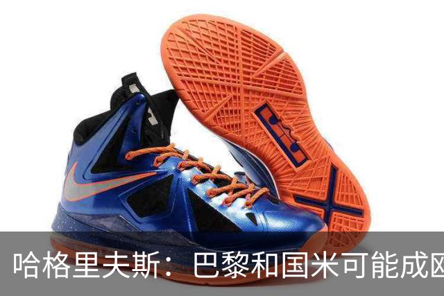 哈格里夫斯：巴黎&国米可能成欧冠黑马